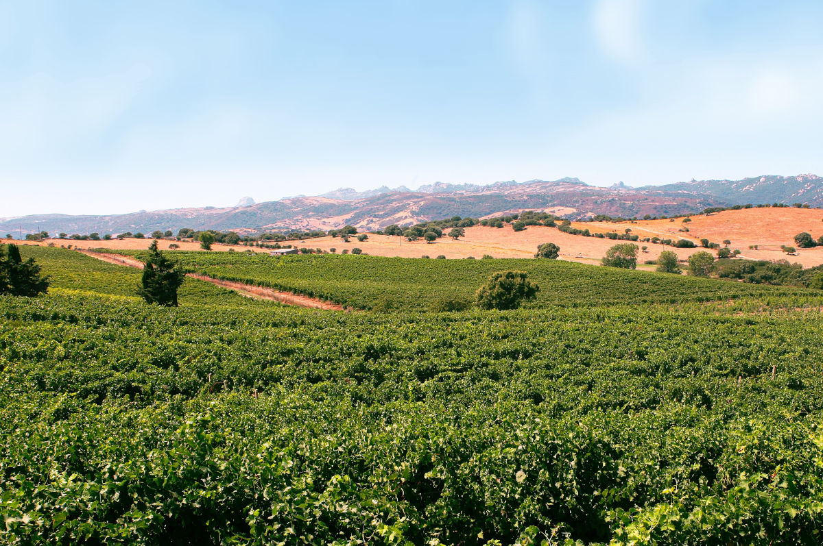 Tour La Nostra Espressione di Gallura