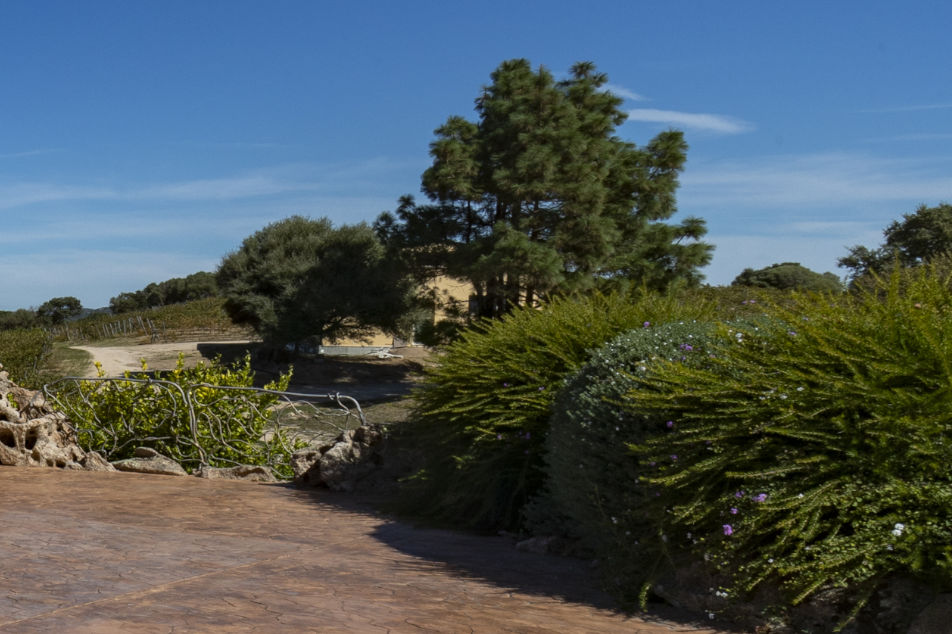 Colline ventilate Gallura