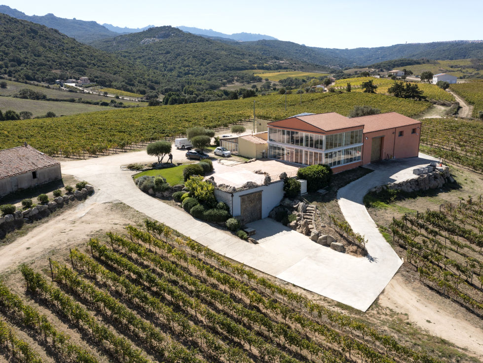 Degustazione in vigna